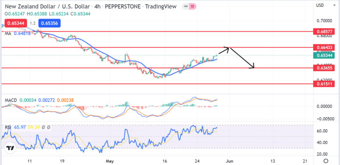 วิเคราะห์คู่เงิน NZDUSD วันที่ 30 พฤษภาคม - 3 มิถุนายน 2565