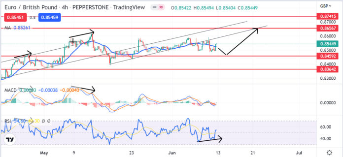 วิเคราะห์คู่เงิน EURGBP วันที่ 13-17 มิถุนายน 2565