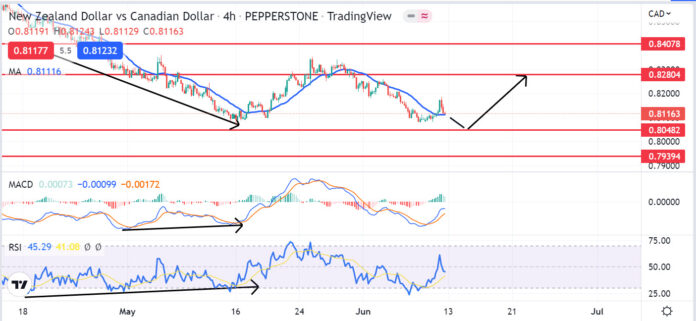 วิเคราะห์คู่เงิน NZDCAD วันที่ 13-17 มิถุนายน 2565