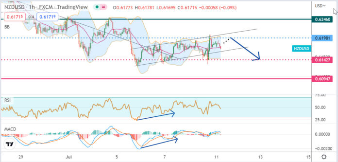 วิเคราะห์คู่เงิน NZDUSD ประจำวันที่ 11 กรกฎาคม 2565