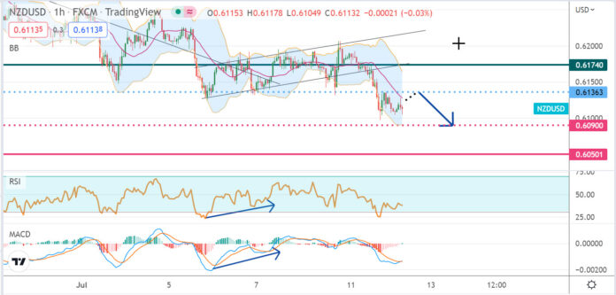 วิเคราะห์คู่เงิน NZDUSD ประจำวันที่ 12 กรกฎาคม 2565