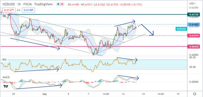 วิเคราะห์คู่เงิน NZDUSD ประจำวันที่ 13 กันยายน 2565