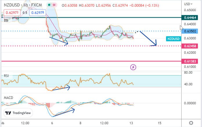 วิเคราะห์คู่เงิน NZDUSD ประจำวันที่ 13 กุมภาพันธ์ 2566